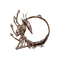 Elden-ring kindred-of-rots-exultation.webp