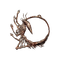 Elden-ring kindred-of-rots-exultation.webp