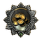 Order of the Golden Rain