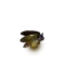 Elden-ring gold-firefly.webp