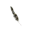 Dragon's Dogma 2 Twisted Pinion.webp
