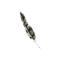 Twisted Pinion