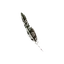 Twisted Pinion