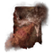 Elden-ring rotten-breath.webp