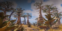 Nomad Highlands
