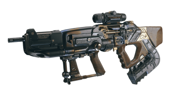 Davis Wilson's Rifle