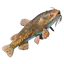 Whiskerfin