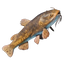 Whiskerfin