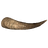 Minotaur Horn