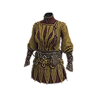 Dragon's Dogma 2:Chanter's Half Robe - ESO-UI Wiki