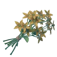 Aureolin Flower