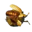 Rare Fishing Bait