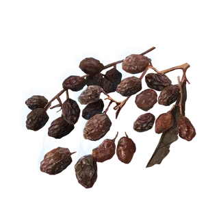 Rowa Raisin