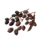 Elden-ring rowa-raisin.webp