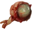 Nekker Eye