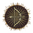 Remedy Arrow