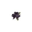 Dragon's Dogma 2 Rotten Blueberry.webp