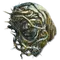 Elden-ring shield-of-the-guilty.webp