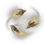 Fire Fly