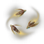 Fire Fly