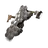 Carapace
