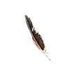 Dragon's Dogma 2 Harpy Pinion.webp
