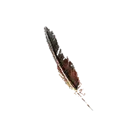 Harpy Pinion
