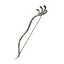 Hydra Husk