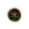 Elden-ring shadow-realm-rune-3.webp