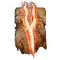 Elden-ring ancient-dragons-lightning-spear.webp