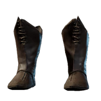 Wizard Boots
