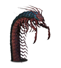Giant Centipede