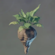 Enshrouded Beet Seedling.webp