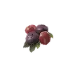 Dragon's Dogma 2 Cranberry.webp