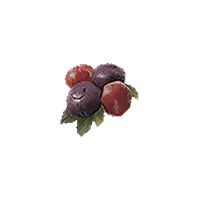 Cranberry