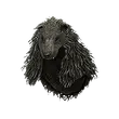 Dragon's Dogma 2 Howling Hood.webp