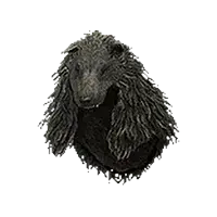 Howling Hood