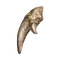 Elden-ring old-fang.webp
