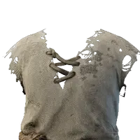 Ragged Shirt
