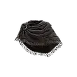 Dragon's Dogma 2 Glorious Cape.webp