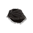 Dragon's Dogma 2 Glorious Cape.webp