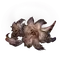 Elden-ring faded-erdleaf-flower.webp