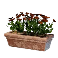 Long Red Flower Pot