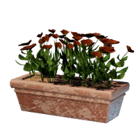 Long Red Flower Pot