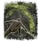 Elden-ring ash-of-war-poison-moth-flight.webp