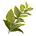 Elden-ring herba.webp