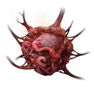 Alexander's Innards
