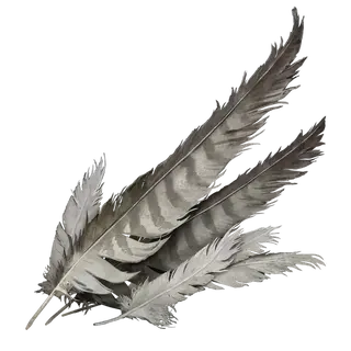 Stormhawk Feather