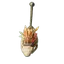 Skull Trophy II