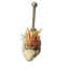 Skull Trophy II